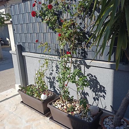 Apartman Lara Zadar Apartment Exterior photo