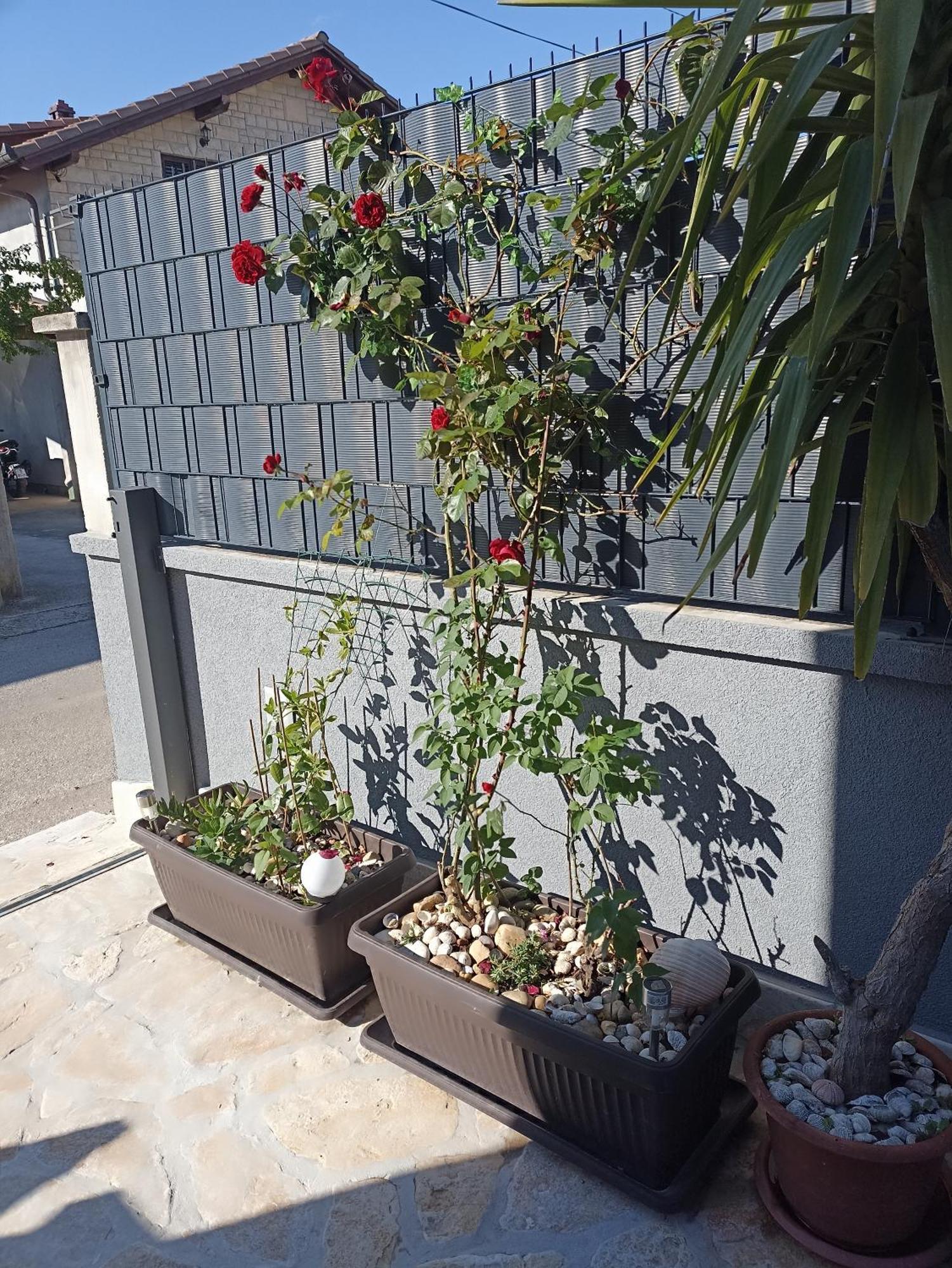 Apartman Lara Zadar Apartment Exterior photo